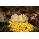 PVA Mix Dudi ”Yellow Tiger” 2.5kg